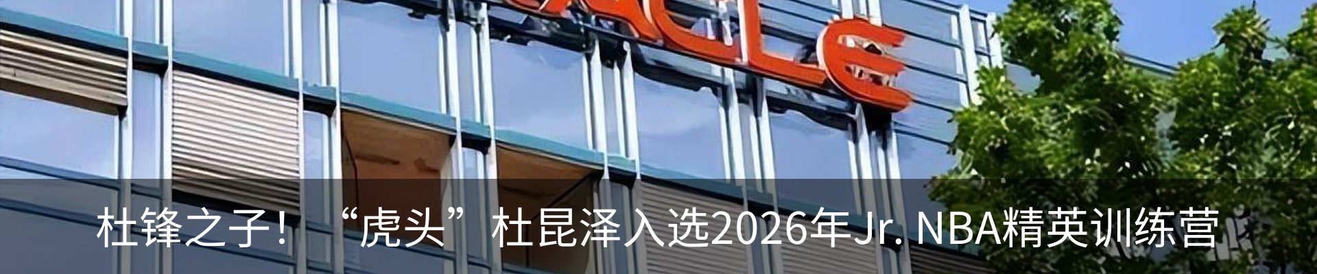 新闻动态