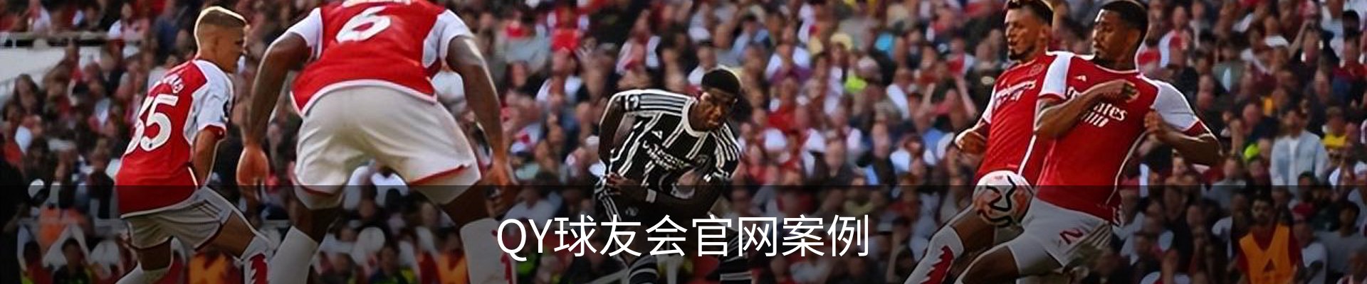 QY球友会官网案例
